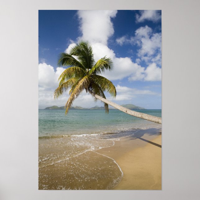 Poster Coconut Grove Beach à Cades Bay, avec St. (Devant)