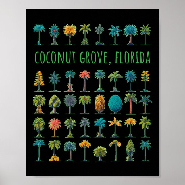 Poster Coconut Grove Floride (Devant)