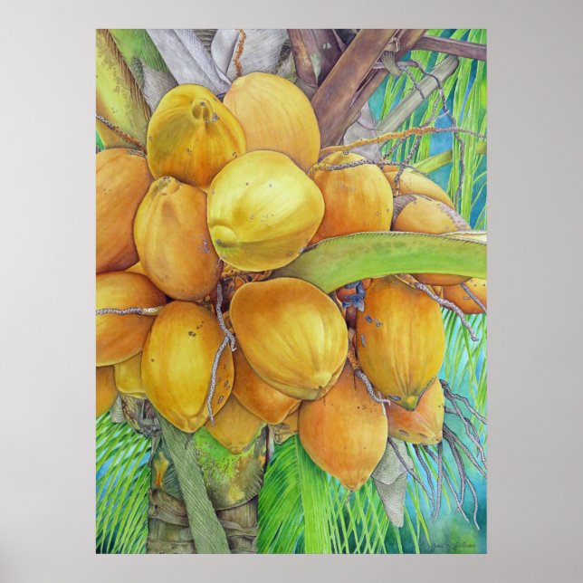 Poster Cocotiers d'or (Devant)