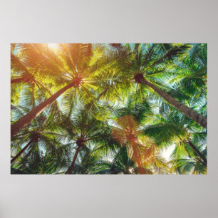 Poster Cocotiers palmiers sur la plage