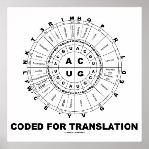 Poster Code De Traduction (RNA Codon Wheel)