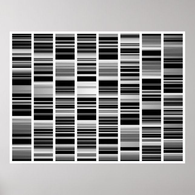 Poster Codex (Devant)