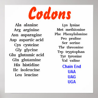 Poster Codons