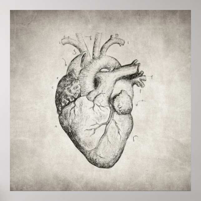 Poster Coeur (Devant)