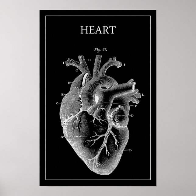 POSTER COEUR ANATOMIQUE VINTAGE NOIR (Devant)