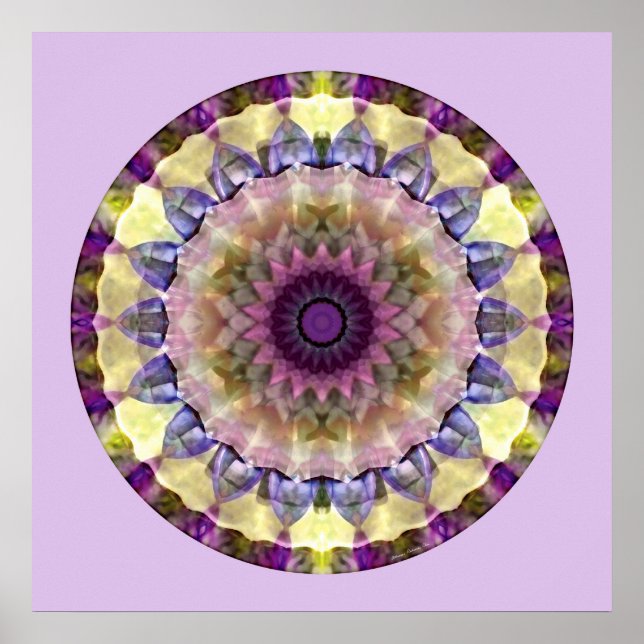 Poster Coeur de la restitution Mandala 2 (Devant)