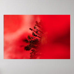 Poster Coeur de papy
