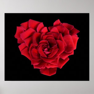 Poster Cœur de rose rouge sur fond noir