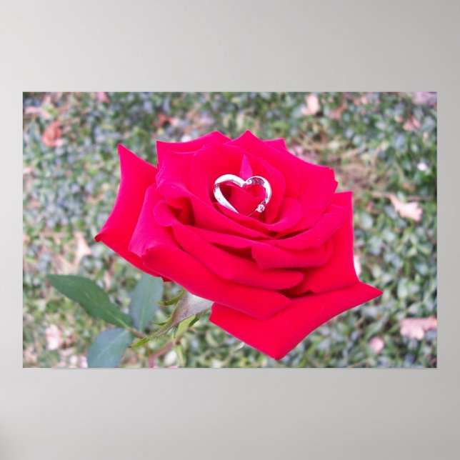 Poster Coeur en Rose (Devant)