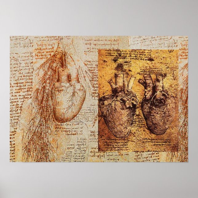 Poster Coeur Et Ses Bateaux De Sang / Artères Bronchiques (Devant)