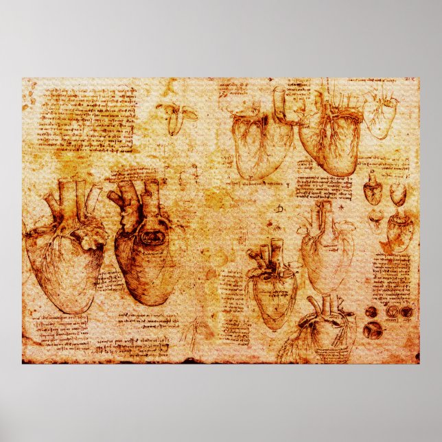 Poster Coeur Et Ses Vaisseaux Sanitaires, Brown (Devant)