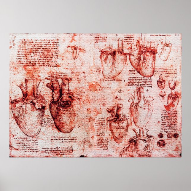 Poster Coeur Et Ses Vaisseaux Sanitaires Léonard De Vinci (Devant)
