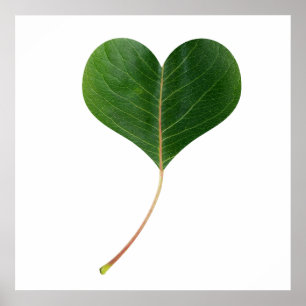 Poster Coeur feuille