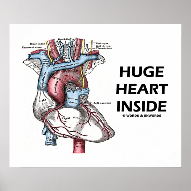 Poster Coeur immense à l'intérieur (Coeur anatomique) (Devant)