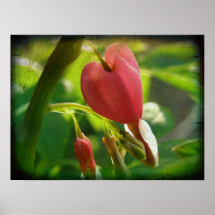 Poster Coeur saignant