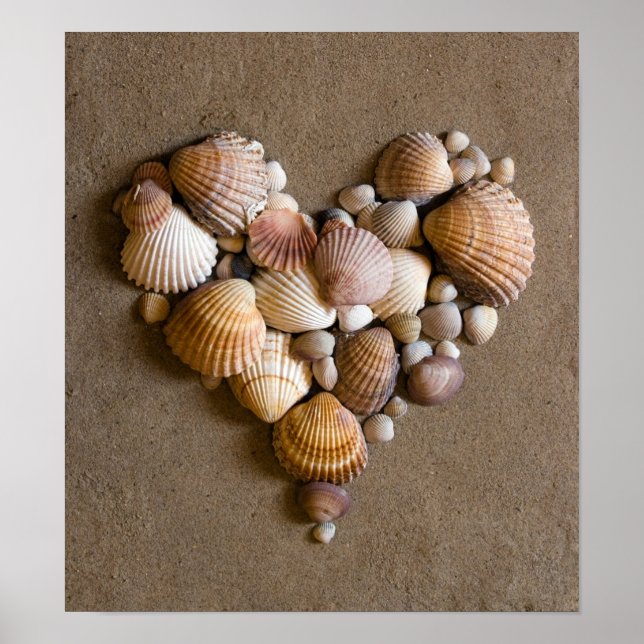 Poster Coeur Saint Valentin fait avec des coquilles (Devant)