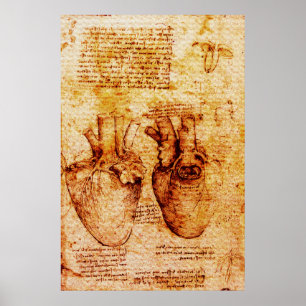 Poster Cœur, Ses vaisseaux sanguins, Léonard de Vinci Bru
