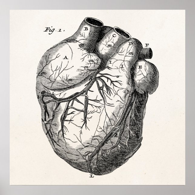 Poster Coeurs cardiaques rétro Cardiac des années 1800 vi (Devant)