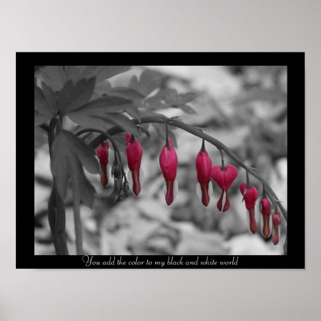 Poster Coeurs rouges saignants (Devant)