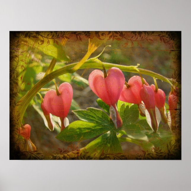Poster Coeurs saignants (Devant)