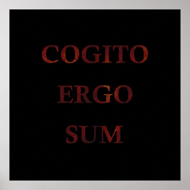 Poster Cogito (Devant)