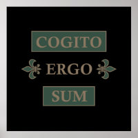 cogito ergo sum, expression latine