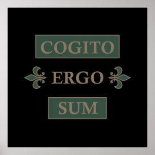 Poster cogito ergo sum, expression latine