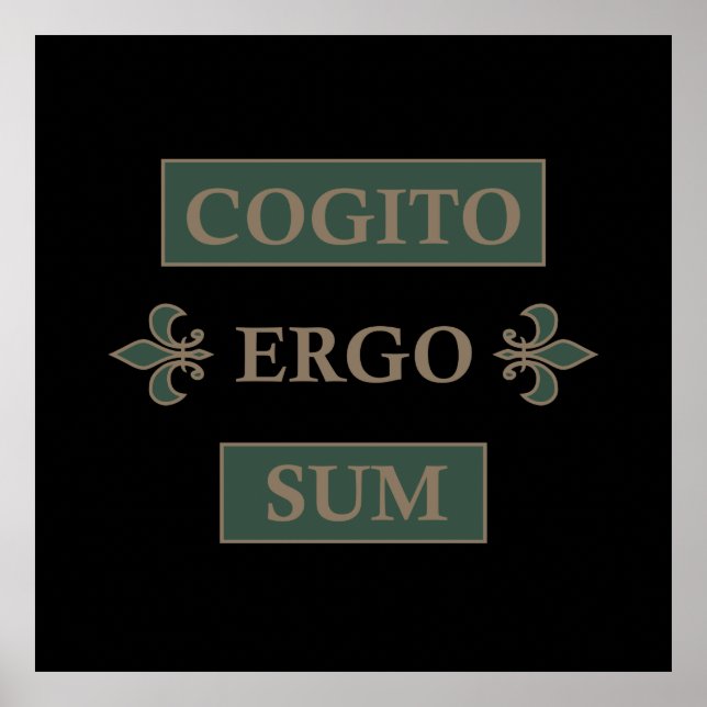 Poster cogito ergo sum, expression latine (Devant)