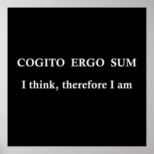 Poster cogito ergo sum, expression latine
