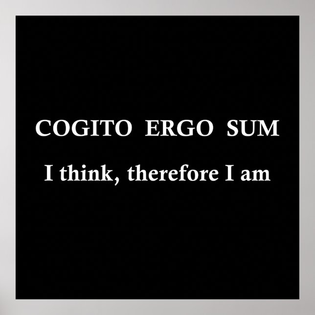 Poster cogito ergo sum, expression latine (Devant)