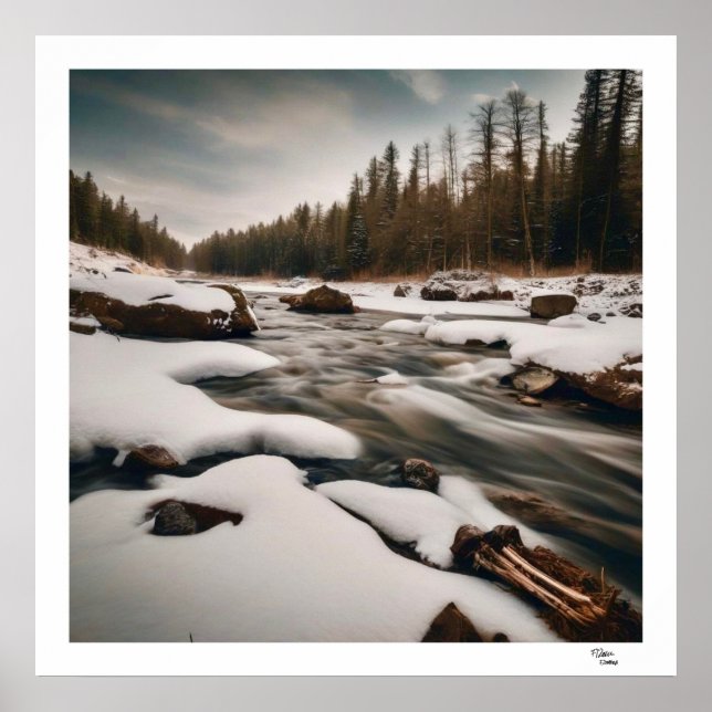 Poster Cold River (Devant)