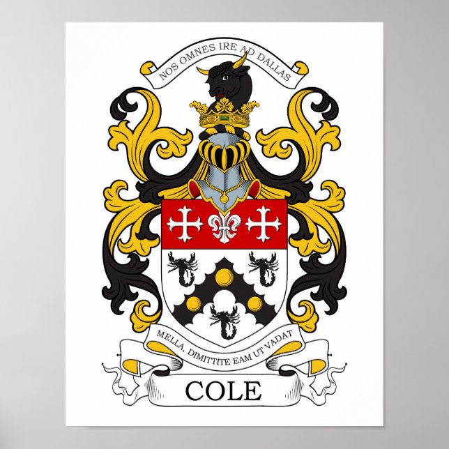 Poster Cole personnalisée 1 (Devant)