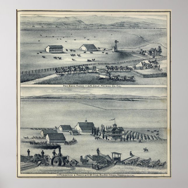 Poster Cole Ranches (Devant)