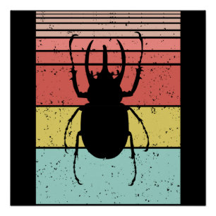 POSTER COLÉOPTÈRE INSECTE VINTAGE