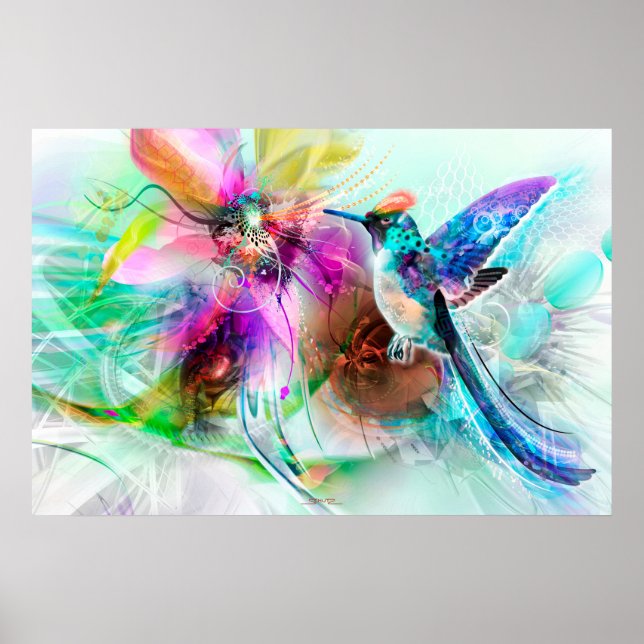 Poster Colibri (Devant)