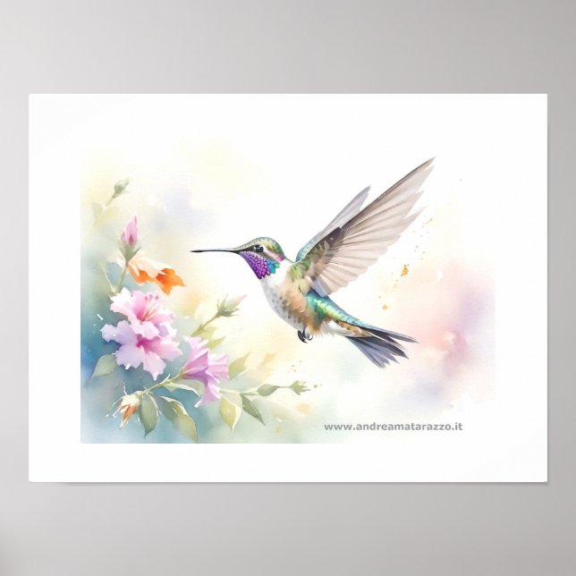 Poster Colibri (Devant)