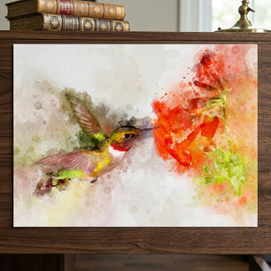 Poster Colibri à l'aquarelle se nourrissant d'une fleur v