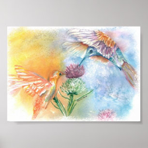 Poster Colibri coloré