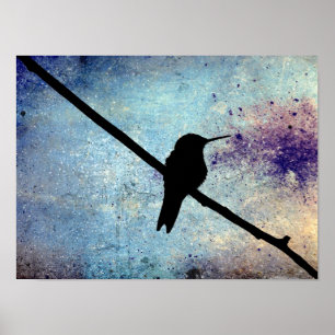 Poster Colibri de Grunge