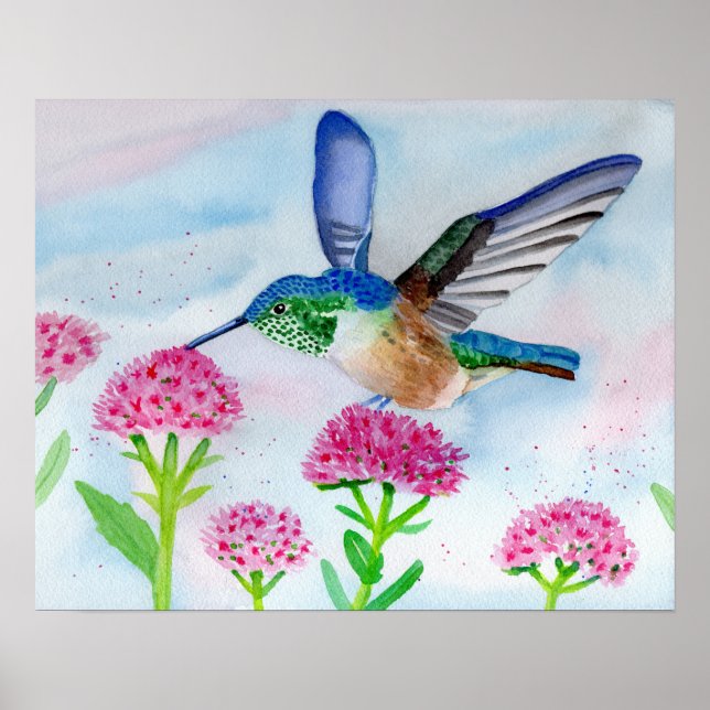 Poster Colibri en aquarelle (Devant)