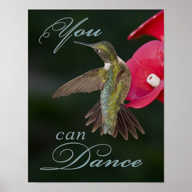 Poster Colibri en disant : (Devant)