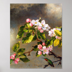 Poster Colibri et fleurs de Martin Johnson Heade