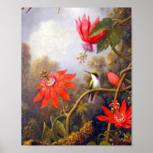 Poster Colibri et Passiflora par Martin Johnson Heade