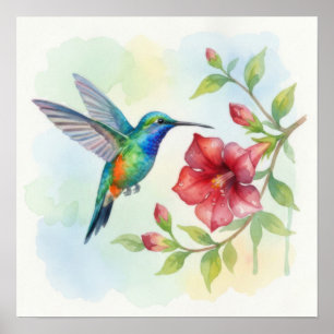 Poster Colibri petit aquarelle