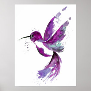 Poster Colibri pourpre