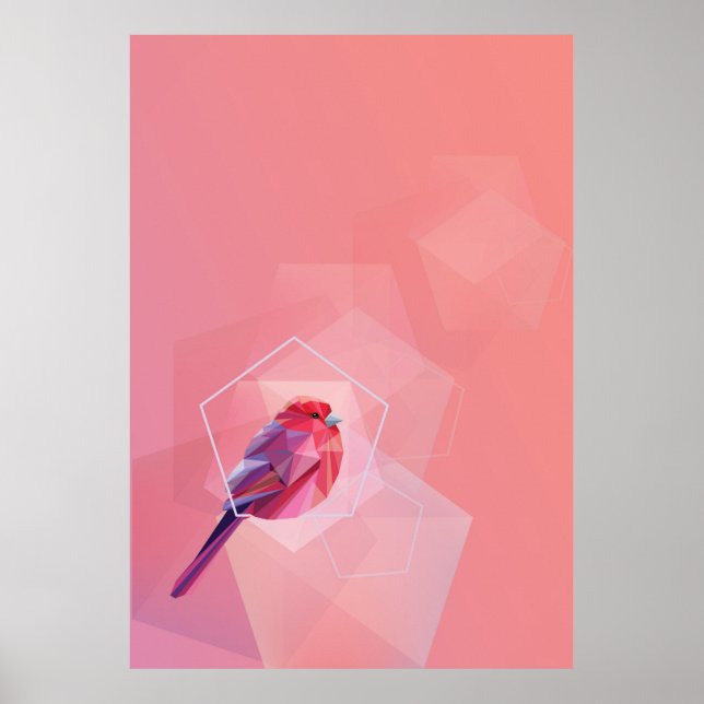 Poster Colibri rose En Abstrait (Devant)