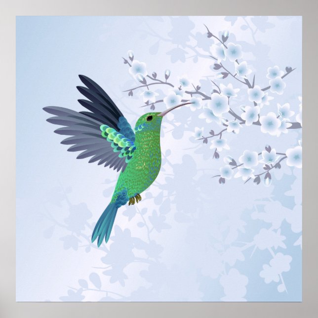 Poster Colibri Vert Avec Fleur De Cerisier Bleu (Devant)