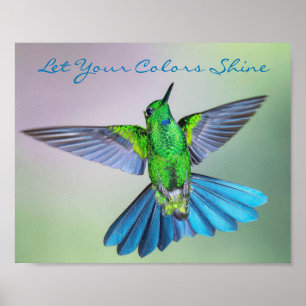 Poster Colibri vert et bleu inspirant