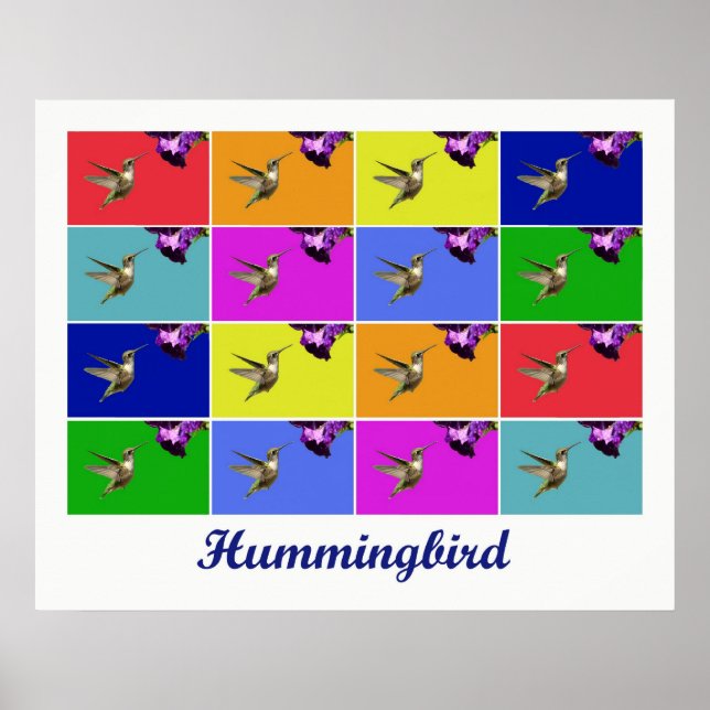 Poster Colibri x16 (Titre) (Devant)