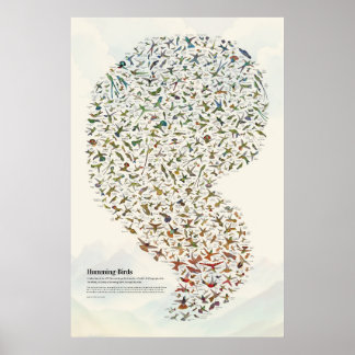 Poster Colibris - Clair